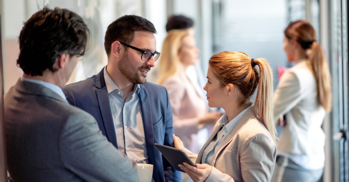 Process Governance Models for Large Organizations